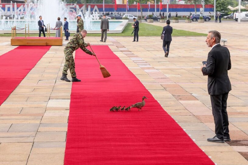 آماده سازی محوطه استقبال رسمی از رییس جمهوری چین