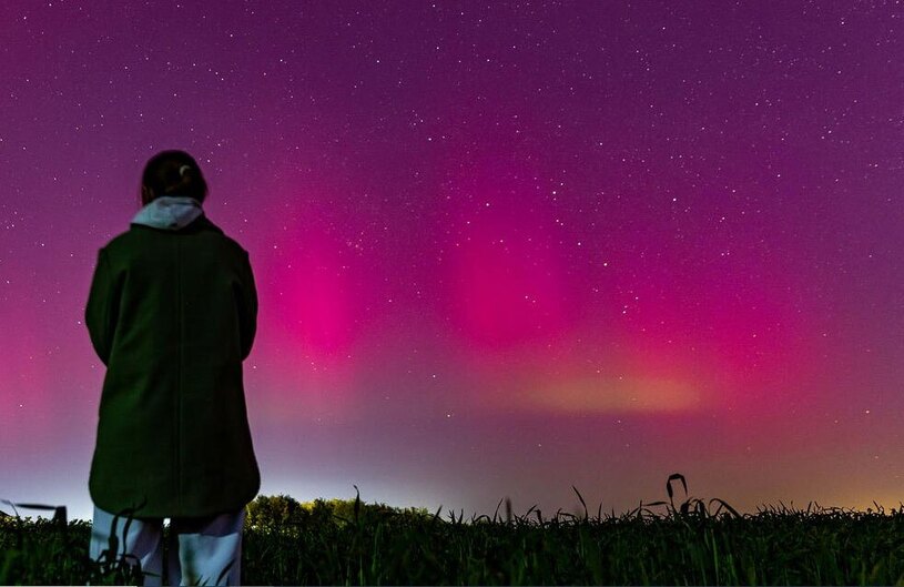 دیدنی های امروز؛ از رای دادن زندانی مکزیکی تا عکس های کمدی حیوانات خانگی شفق قطبی در روستوف روسیه