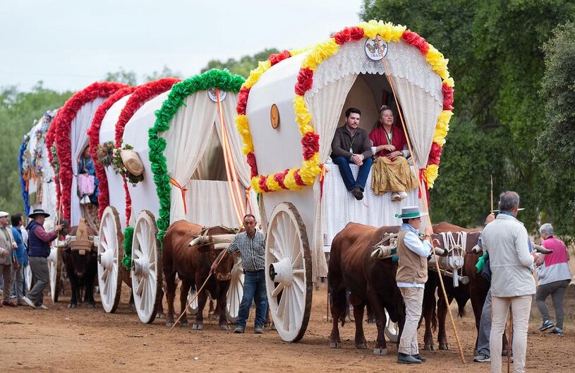 دیدنی های امروز؛ از دعای پاپ فرانسیس تا سفر پوتین به چین جشنواره عبور با کاروان درشکه های بسته شده به گاومیش