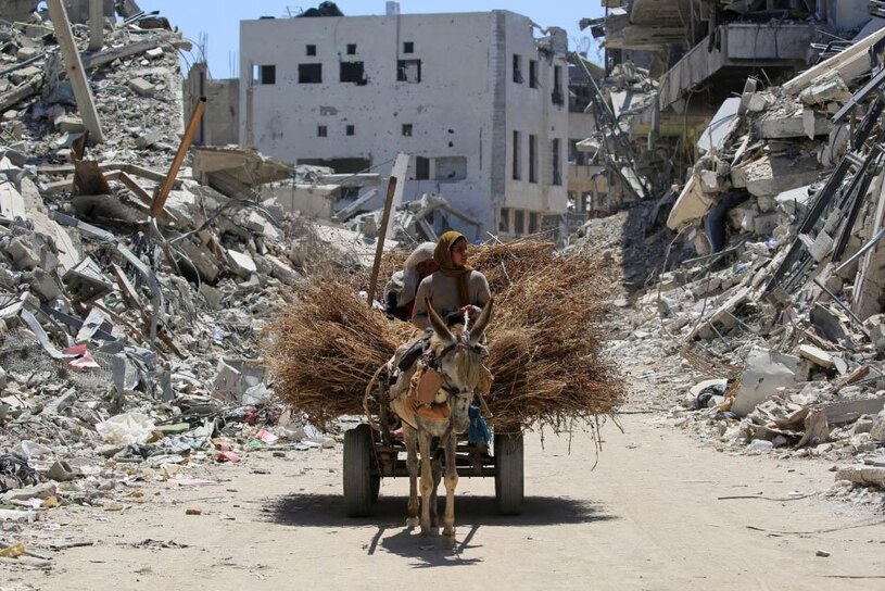 دیدنی های امروز؛ از کوهنورد افسانه ای نپال تا شهر میمون های تایلند حمل هیزم برای سوخت در شهر خان یونس