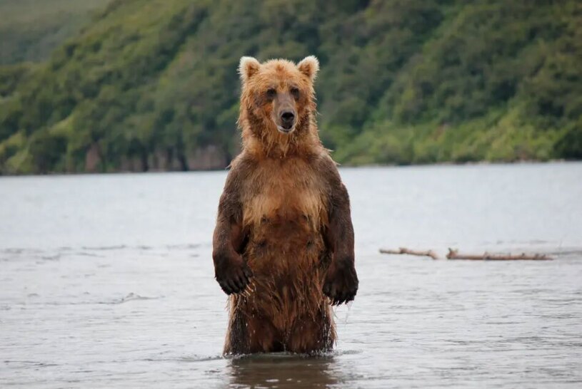 دیدنی های امروز؛ از کوهنورد افسانه ای نپال تا شهر میمون های تایلند بدون شرح