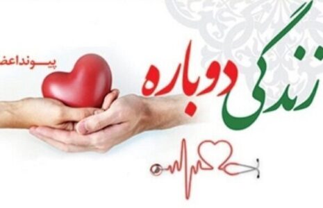 اهدای عضو هرمزگان