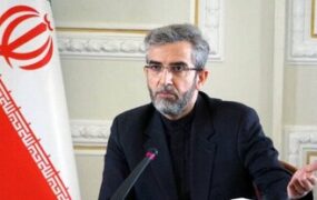 باقری کنی