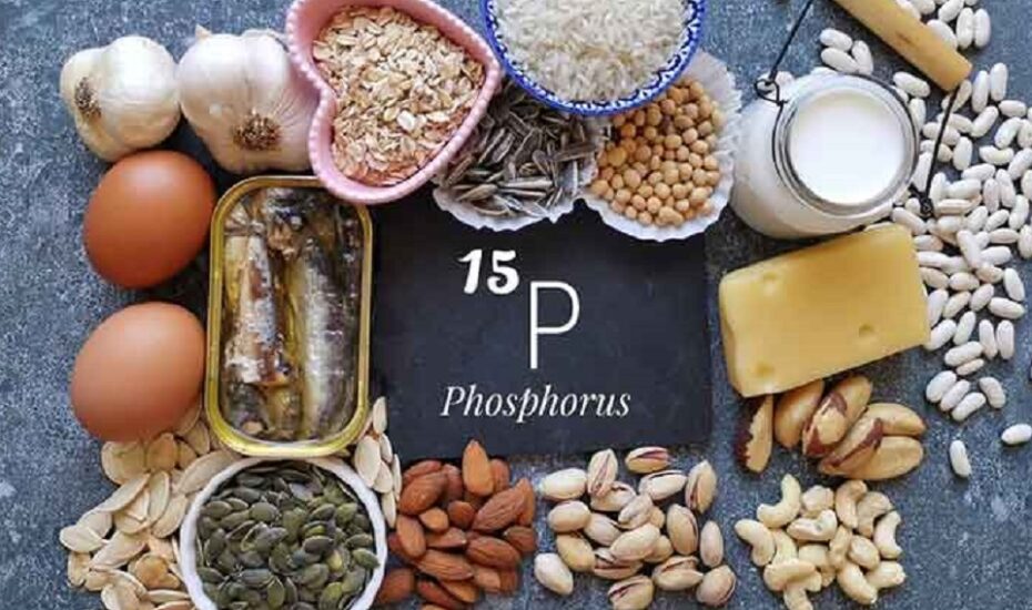خواص و منابع غذایی حاوی فسفر