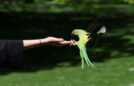 دیدنی های امروز