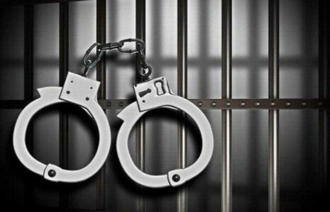 زن سردسته پلیس‌های قلابی راننده آن‌ها بود