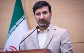 سخنگوی شورای نگهبان