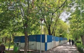علت حصارکشی در پارک لاله