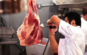 قیمت دام زنده