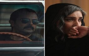 لاک‌پشت و حلزون پروانه نمایش