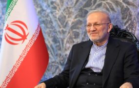 متکی مجلس در سازه نظام