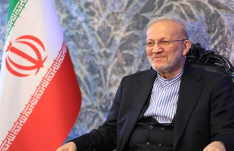 متکی مجلس در سازه نظام