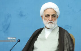 محسنی اژه ای