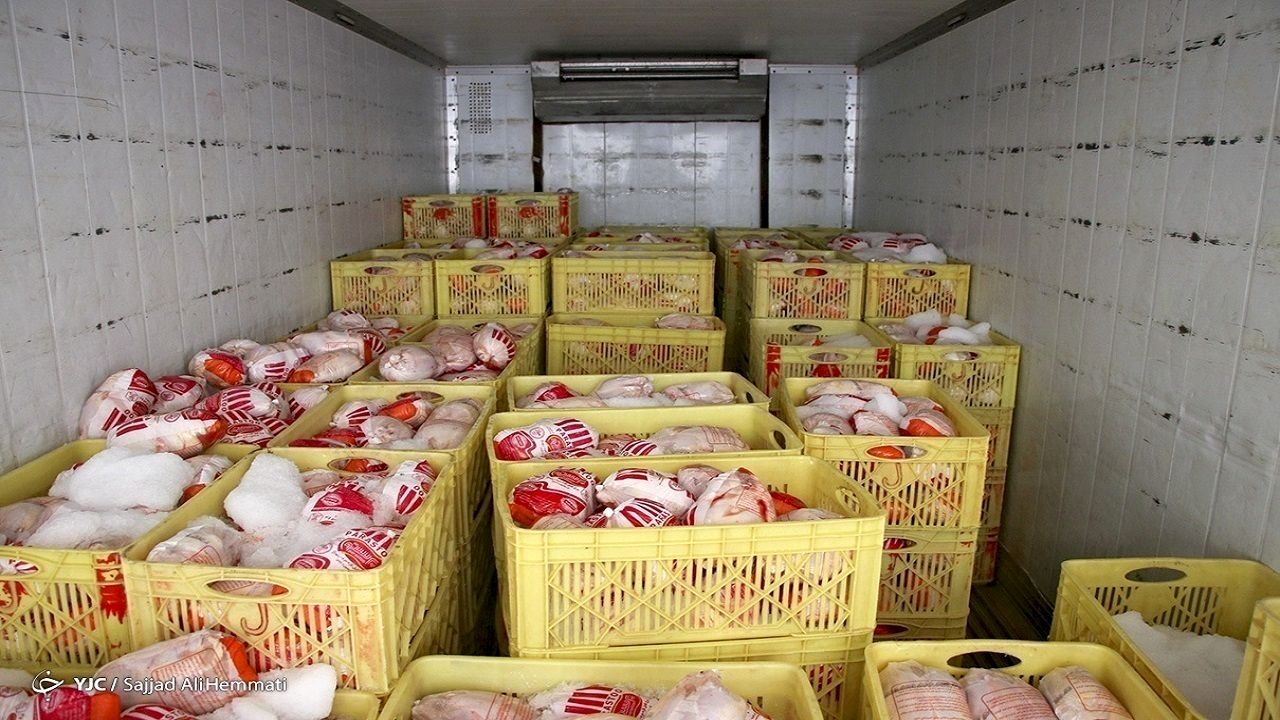 گوشت مرغ