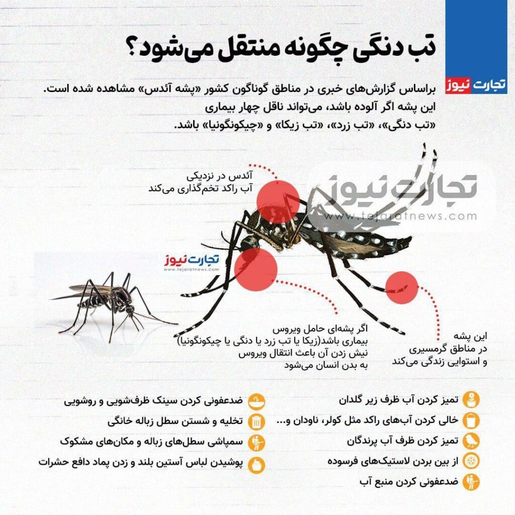 آئدس