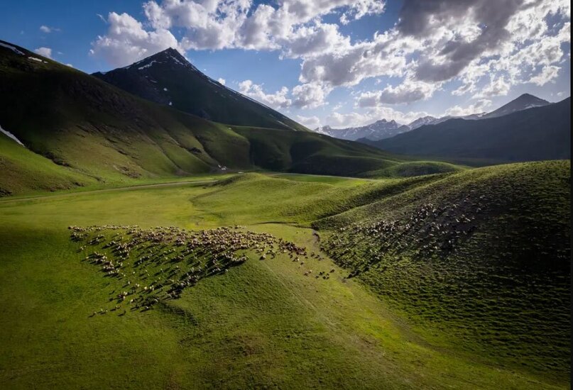 دیدنی های امروز؛ از قهرمانی رئال مادرید تا تظاهرات حامیان فلسطین انتقال گله های دام به ارتفاعات ییلاقی