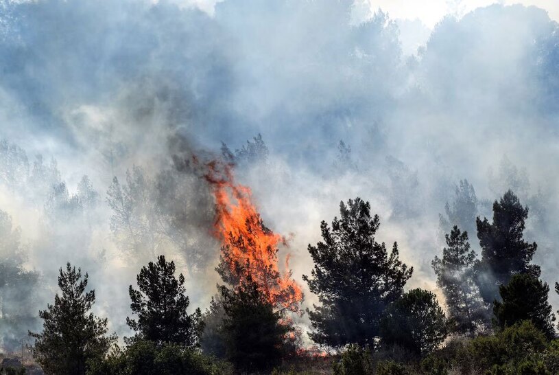 آتش سوزی گسترده در شهرک های صهیونیست نشین در شمال فلسطین