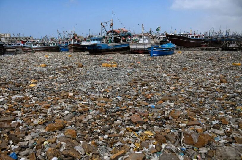 دیدنی های امروز؛ از راهپیمایی تحریک آمیز شهرک نشینان اسرائیلی تا زنده گیری خرس های وحشی قایق های ماهیگیری در محاصره انبوه زباله