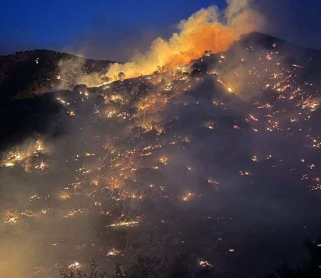 دیدنی های امروز؛ از مامور امنیتی طالبان تا قربانی های عید قربان آتش سوزی جنگلی در کالیفرنیا آمریکا