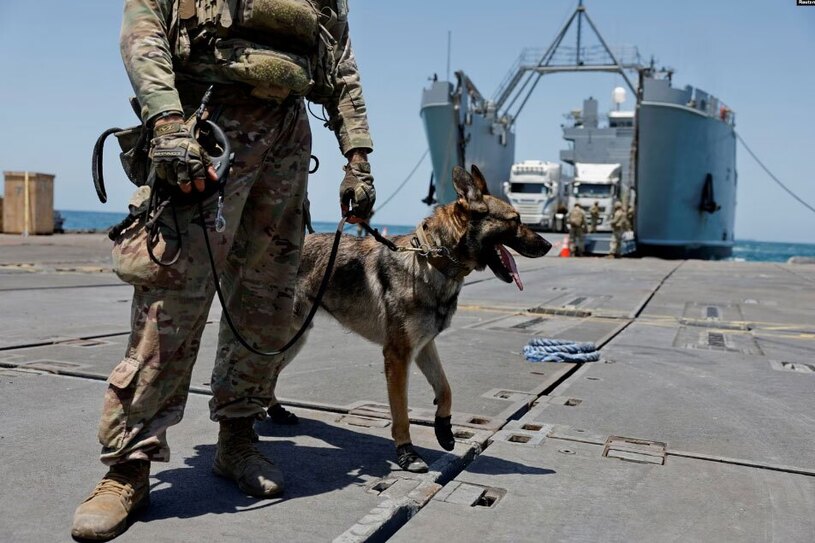 یک سرباز آمریکایی با یک سگ در اسکله "تریدنت"