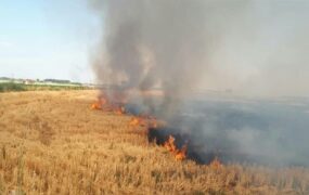 آتش‌سوزی گسترده در جنگل‌ها، مراتع و مزارع کشاورزی