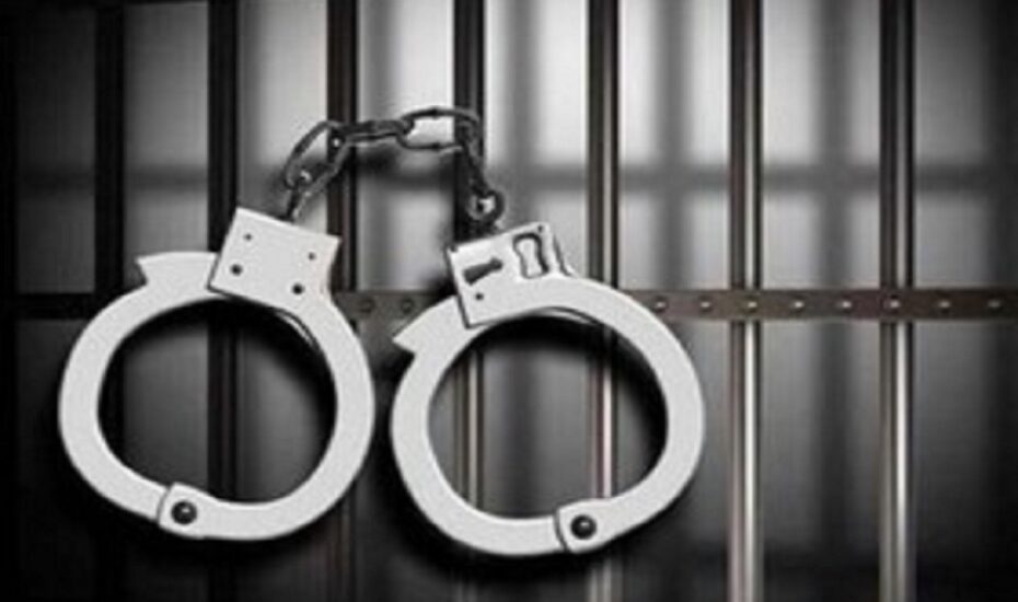 دستگیری ۳۰ متهم به سرقت و ۲ سارق زن