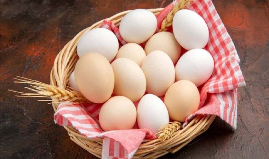 قیمت تخم مرغ