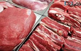 قیمت گوشت قرمز