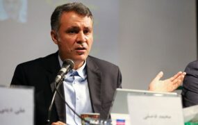 محمد فاضلی