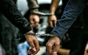راننده مسافربر سارقان عتیقه