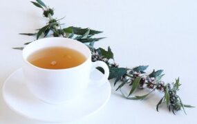 گیاه دم شیر