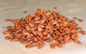 ۸ خاصیت تخمه ژاپنی