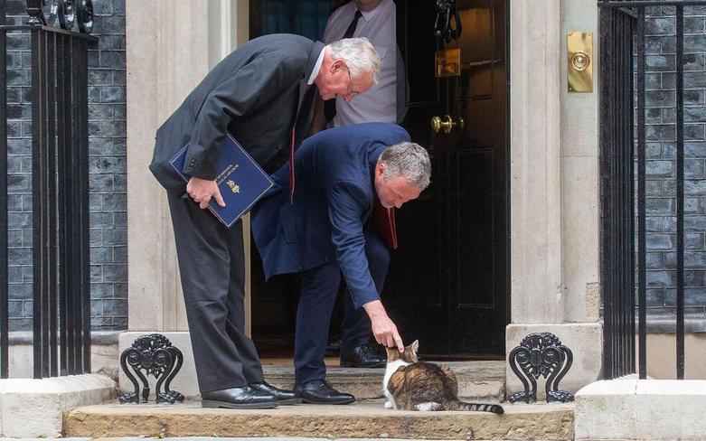 نوازش "لَری" – گربه ساکن در مقر نخست وزیری انگلیس 