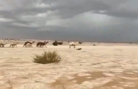 تبدیل صحرا به رودخانه یخی در عربستان