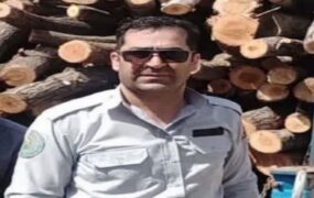 جنگلبان آسیب دیده از اطفای حریق درگذشت