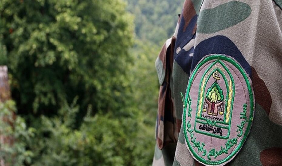 قاچاقچی چوب با اره موتوری به جان جنگلبان افتاد قاچاقچی چوب جنگلبان