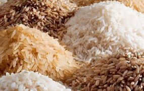 قیمت برنج ایرانی