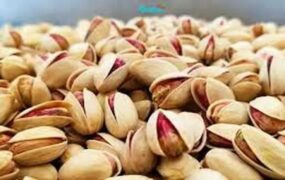 قیمت تمام شده پسته در آمریکا و ایران