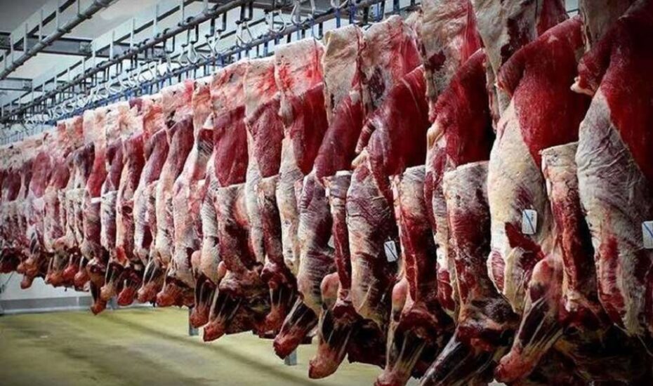 قیمت گوشت قرمز