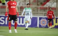 محمد مهدی لطفی