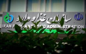 سازمان غذا و دارو فرآورده چربی‌سوز «جلبک و بلوبری»