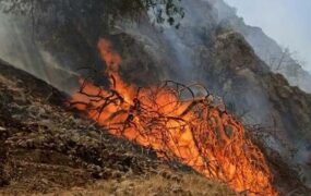 منطقه حفاظت شده خائیز آتش