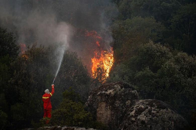 آتش سوزی جنگلی در ایتالیا
