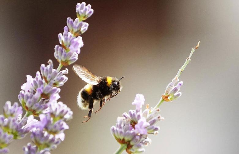 دیدنی های امروز؛ از سالگرد بمباران اتمی ناکازاکی تا سقوط هواپیمای مسافربری برزیل بدون شرح
