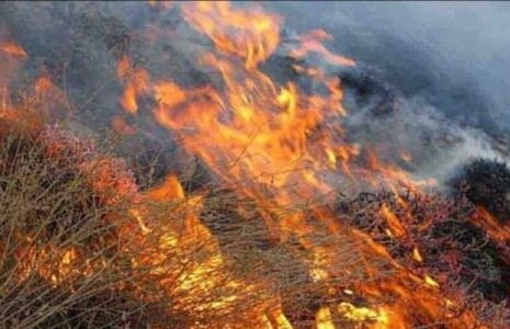 آتش سوزی مراتع جنگلی در کبیرکوه ایلام