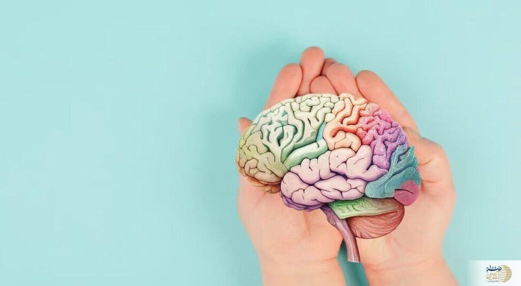تقویت مغز