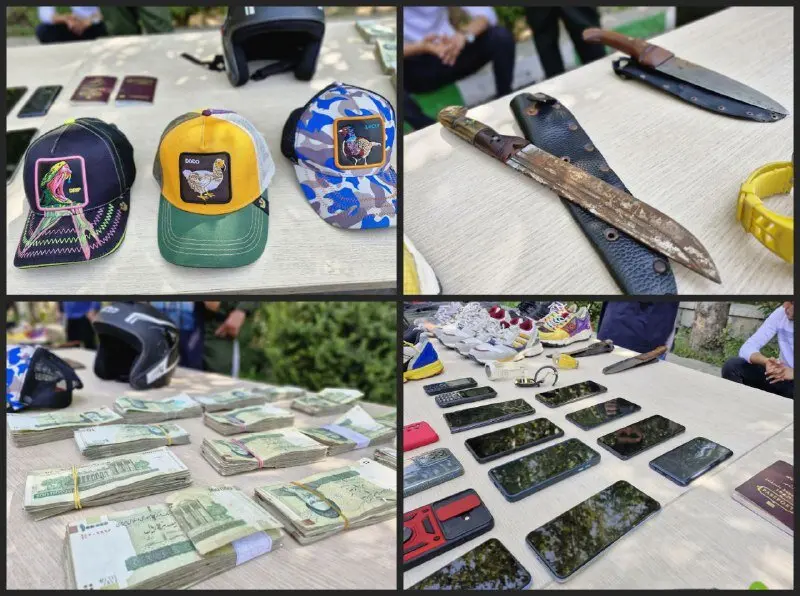 آرسن لوپن تهران؛ «سارق خیابان استاد معین» دستگیر شد سارق خیابان استاد معین