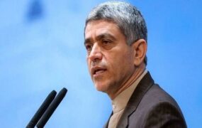 طیب‌نیا مشاور عالی رئیس جمهور شد