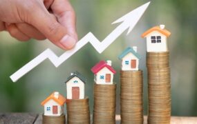 نایب رییس اتحادیه مشاوران املاک