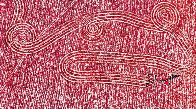 دیدنی های امروز؛ از مراسم اختتامیه پارالمپیک پاریس تا جشنواره های هندو خشک کردن فلفل قرمز در ترکیه